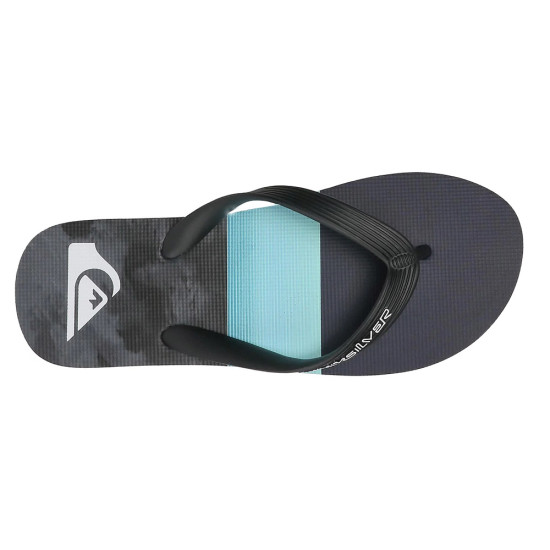 Quiksilver Molokai Panel - Flip-Flops for Men
